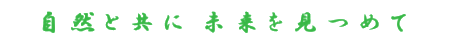 ���R�Ƌ��Ɂ@���������߂�